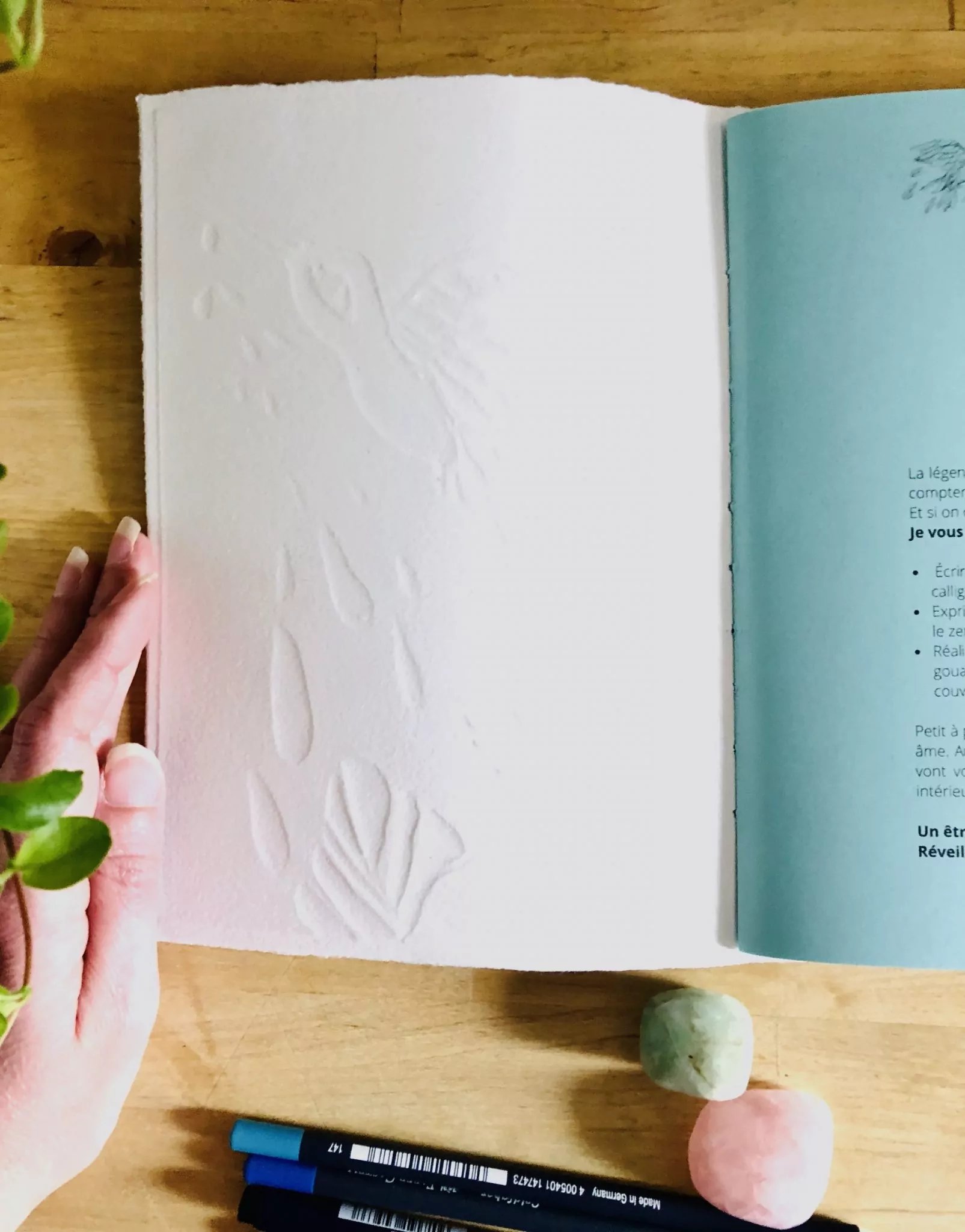 Carnet Technique Mixte L'envol du colibri - Série l'envol – Image 6