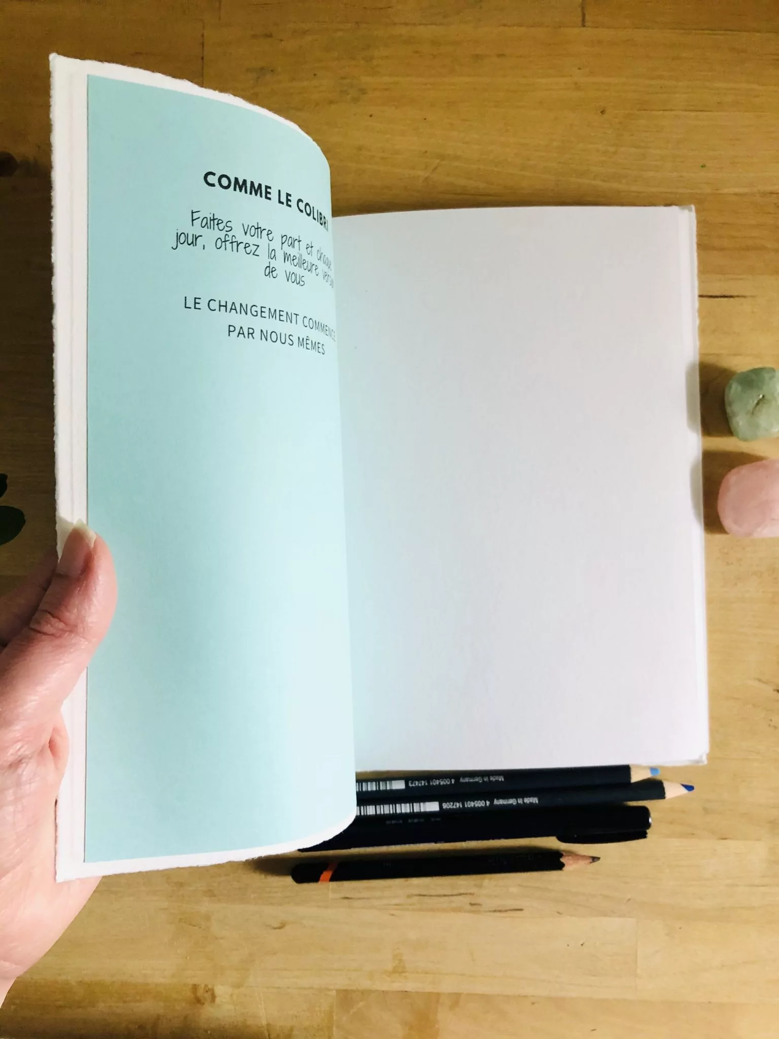 Carnet Technique Mixte L'envol du colibri - Série l'envol – Image 9