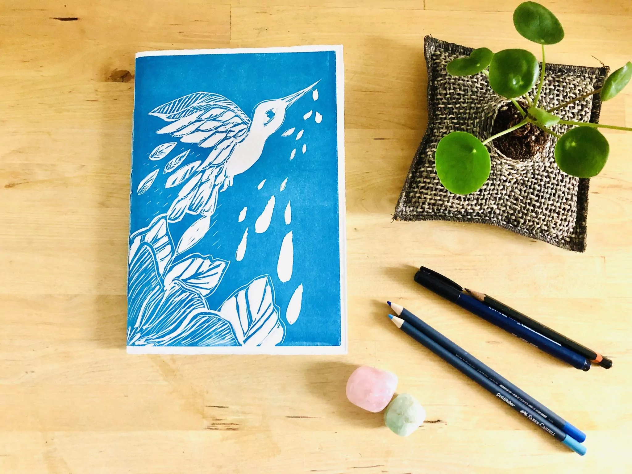 Carnet Technique Mixte L'envol du colibri - Série l'envol