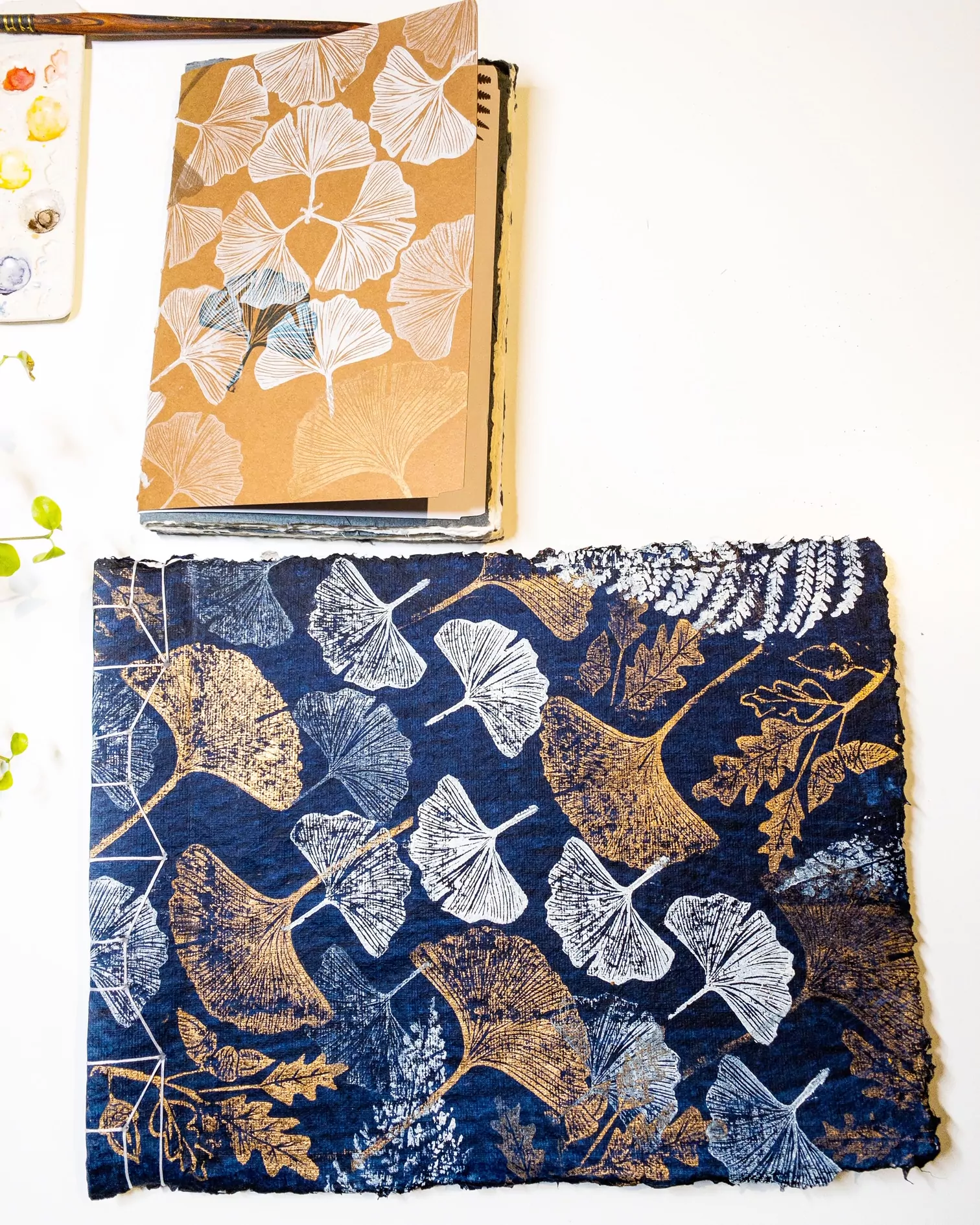 Collection AH 2020 Passion Ginkgo