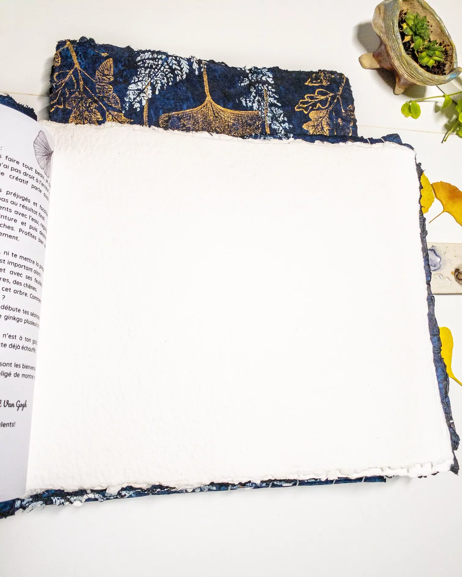 Carnet Aquarelle Passion Ginkgo – Image 13