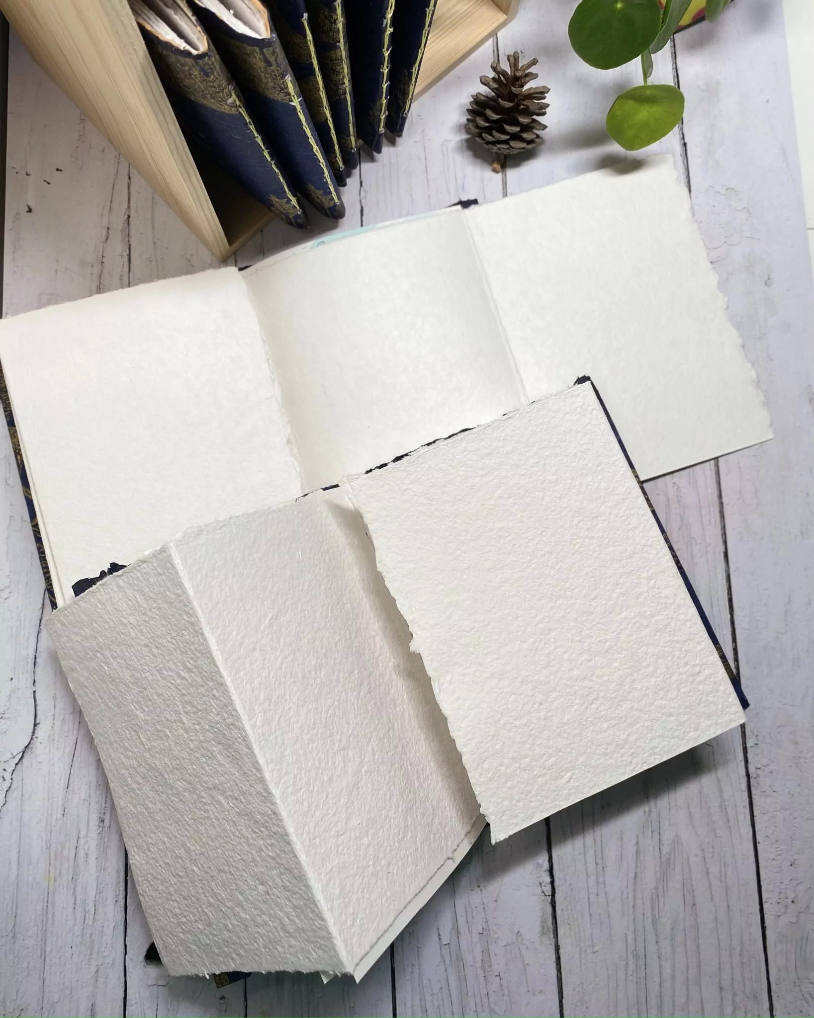 Carnet aquarelle "Ginkgo Magie" – Image 6