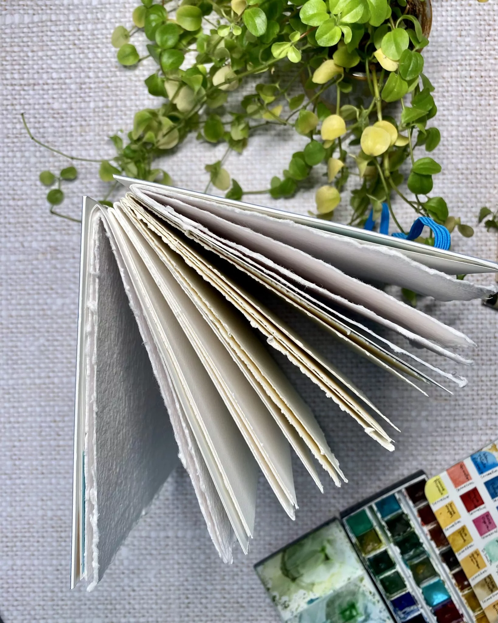 Jardin de merveilles, carnet E/A pour Maryskaya – Image 4