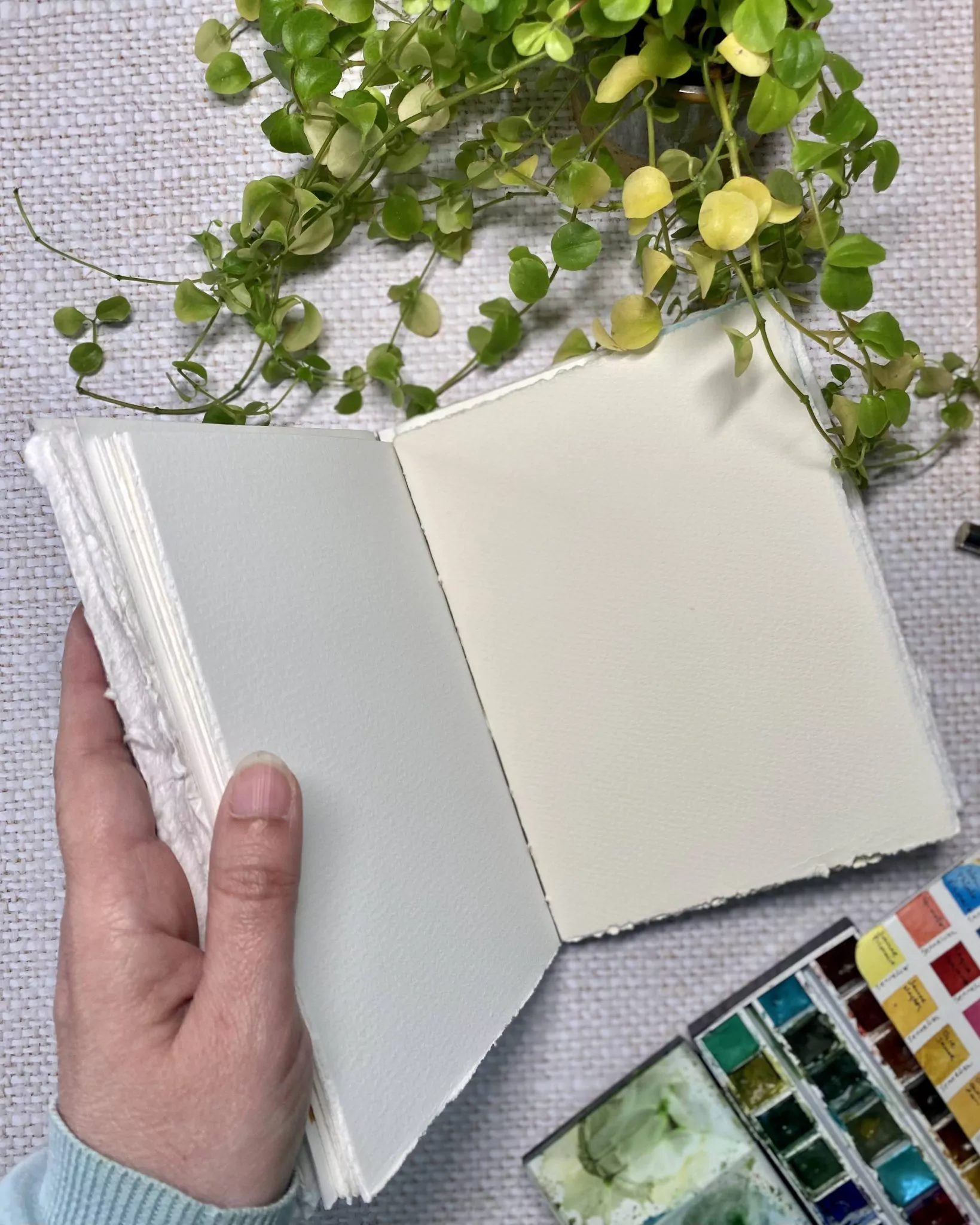 Jardin de merveilles, carnet E/A pour Maryskaya – Image 3